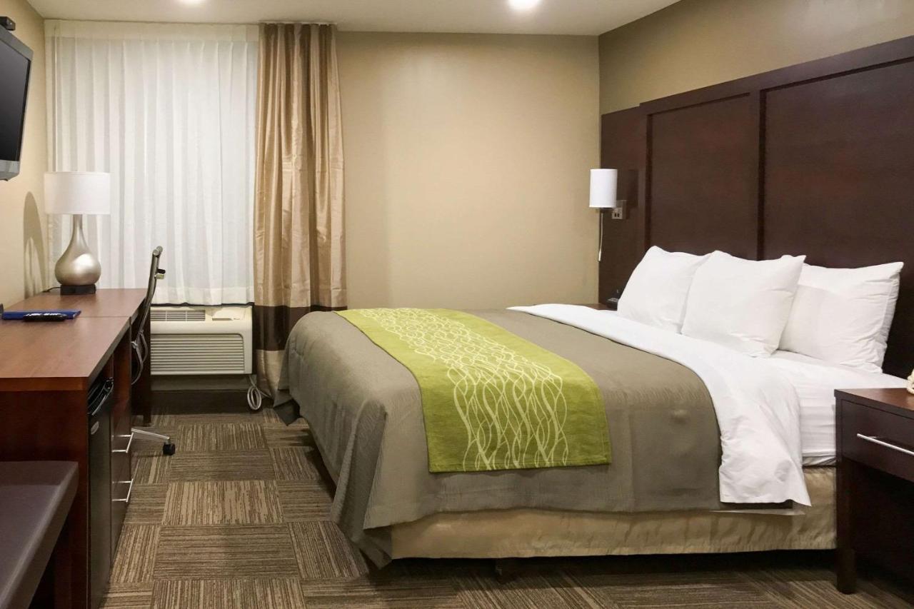Pulaski Giles Hotel Inn And Suites מראה חיצוני תמונה