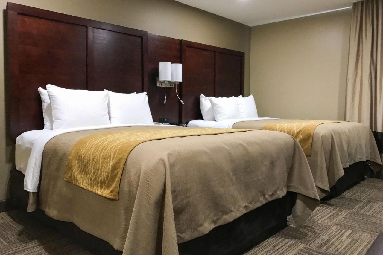 Pulaski Giles Hotel Inn And Suites מראה חיצוני תמונה